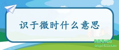 ����ʶ��΢ʱʲô��˼