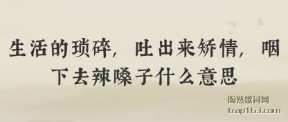 ,³,ȥɤʲô˼