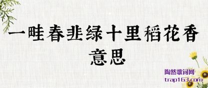 һ贺ʮﵾ ˼