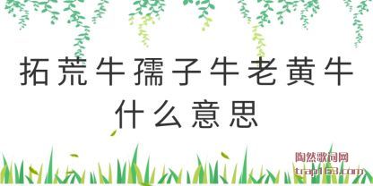 ˵ػţţϻţʲô˼