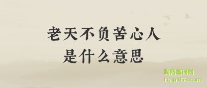 Ƽ첻ʲô˼