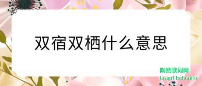 ǳ˫˫ʲô˼