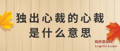 ˵ĲõĲʲô˼