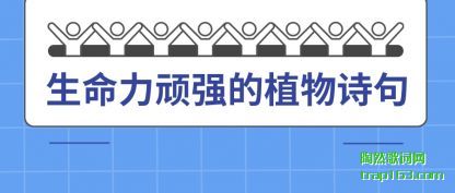 ǿֲʫ
