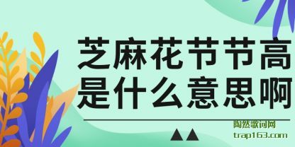 ǳ֥黨ڽڸʲô˼