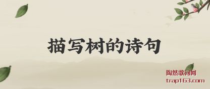 д(shu)ʫ