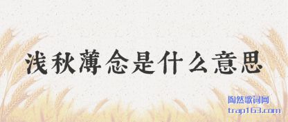 ǳﱡ(shi)ʲô(yi)˼