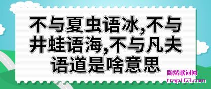 ĳ(chong),뾮(wa)ﺣ,뷲ɶ˼