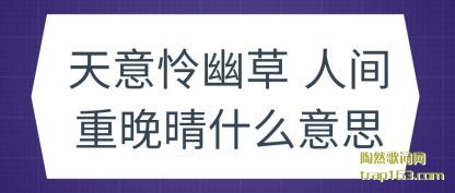 Ĳ(cao) ˼(jian)ʲô˼