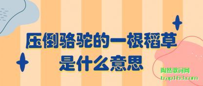 ѹ(luo)յһ(yi)ʲô˼