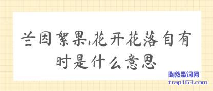,(hua)(zi)ʱʲô˼
