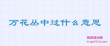 �򻨴��й�(guo)(guo)ʲô��˼(si)