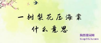 一树梨花(hua)压海棠什么(me)意思