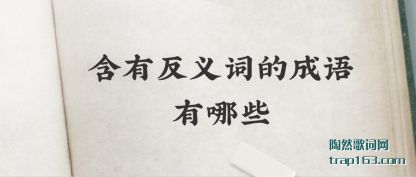 ���з���ʵ�(de)������(you)��Щ