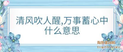 ��紵����,����������(zhong)ʲô��˼