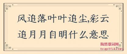 ��׷��Ҷ(ye)Ҷ׷��,����(yun)׷��������ʲô��˼