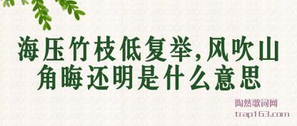 ��ѹ��(zhu)֦�͸�(fu)��,�紵ɽ�ǻ޻�����ʲô��˼