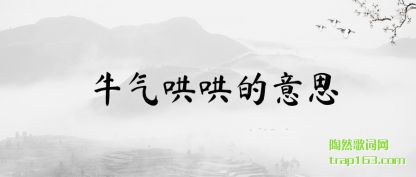 ţ�����(hong)����˼