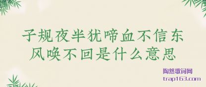 ӹҹ(you)Ѫ(xin)绽ʲô˼