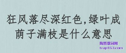 価(shen)ɫ,(lu)Ҷ֦ʲô˼