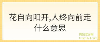 (yang),(xiang)ǰʲô˼