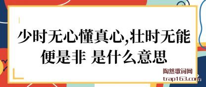 ʱĶ(zhen),׳ʱ(neng)Ƿ ʲô˼