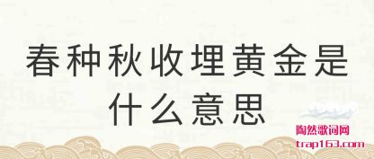 (shou)ƽ(jin)ʲô˼