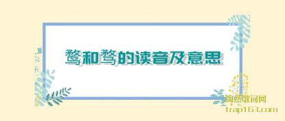 ͺĶ(yin)˼(si)