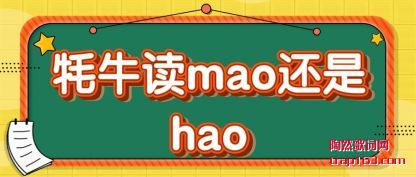 ţ(du)mao(shi)hao