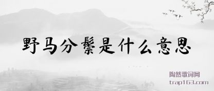 Ұ(shi)ʲô˼(si)