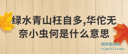 ˮɽ(wang)Զ,(hua)٢Сʲô˼