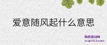 (feng)ʲô(yi)˼