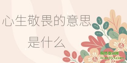 ��(xin)����η����(yi)˼��ʲô(me)