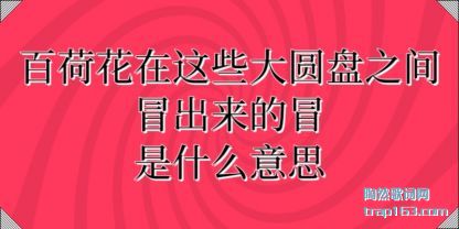 �ٺɻ�����(zhe)(zhe)Щ(xie)��Բ��֮(zhi)��ð����(lai)��ð��ʲô(me)��˼